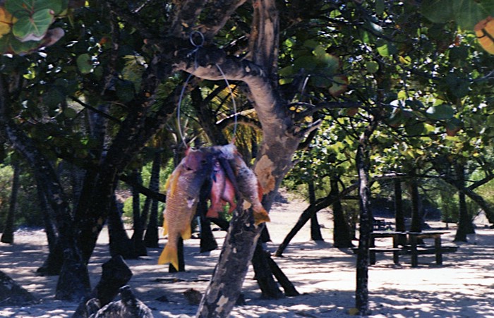 img760.jpg