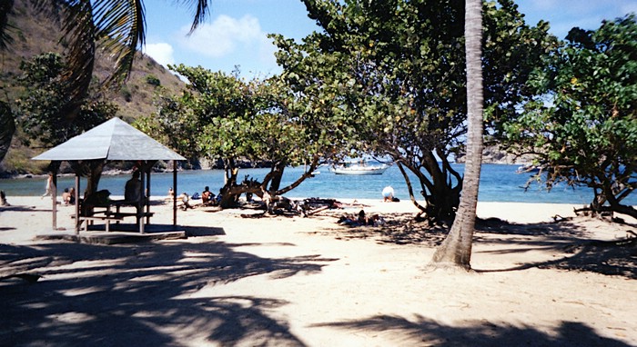 img761.jpg