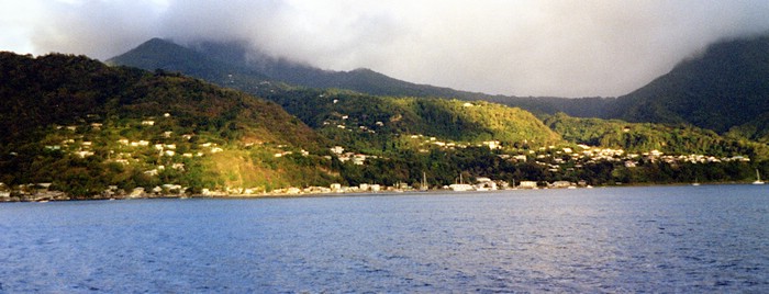 img768.jpg