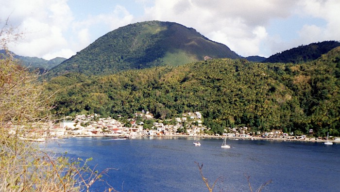 img772.jpg