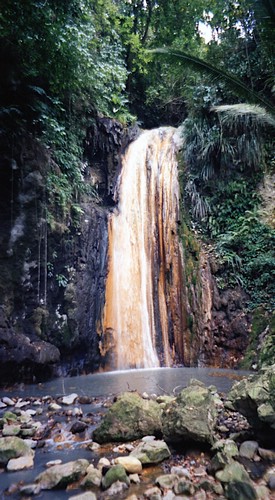 img775.jpg