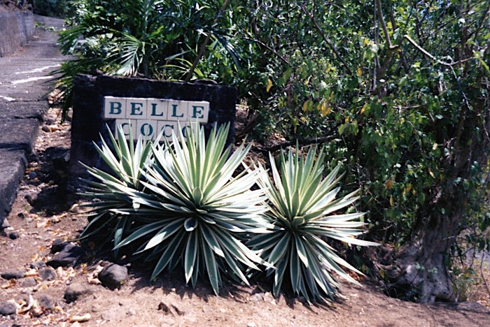 img777.jpg