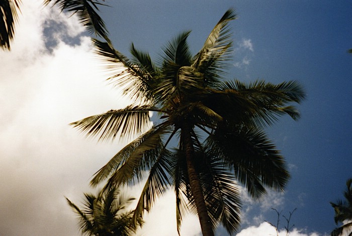 img778.jpg