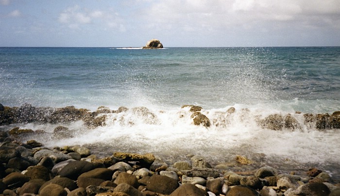 img798.jpg