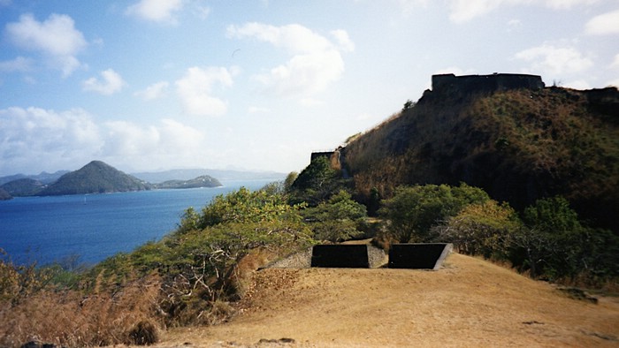 img799.jpg