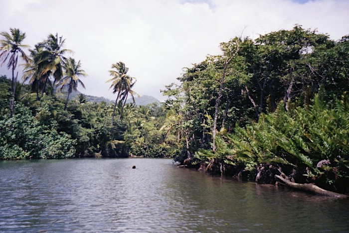 img811.jpg
