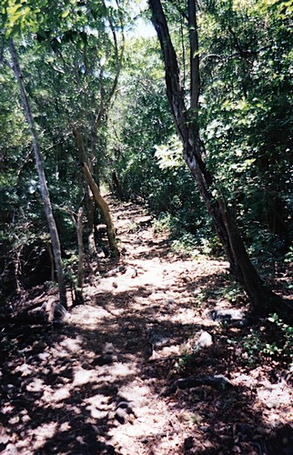 img812.jpg