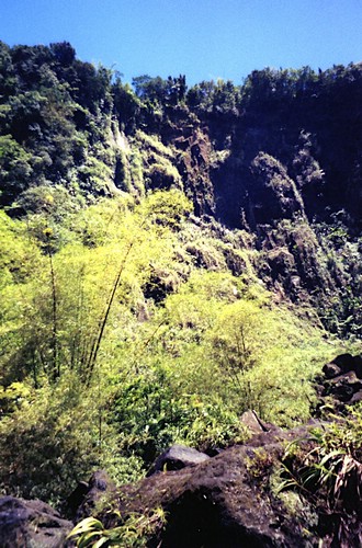 img817.jpg