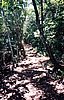 img812.jpg