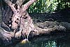 img814.jpg
