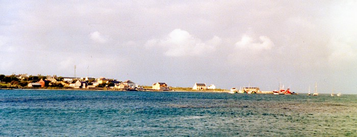 img863.jpg