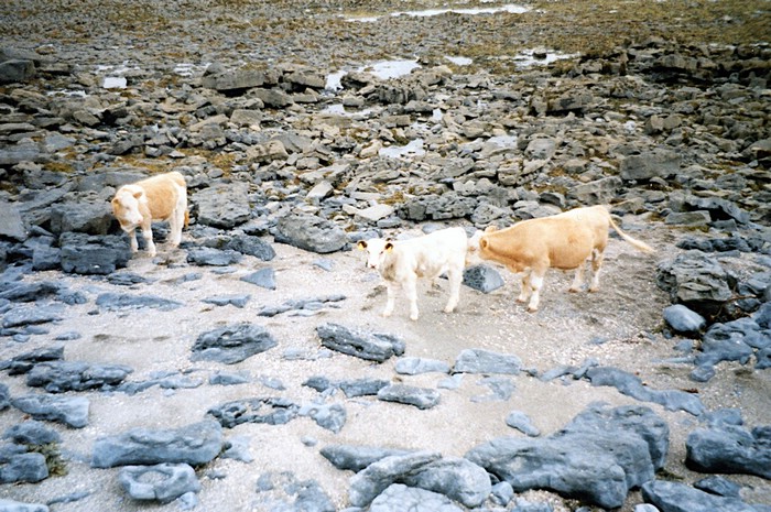 img864.jpg