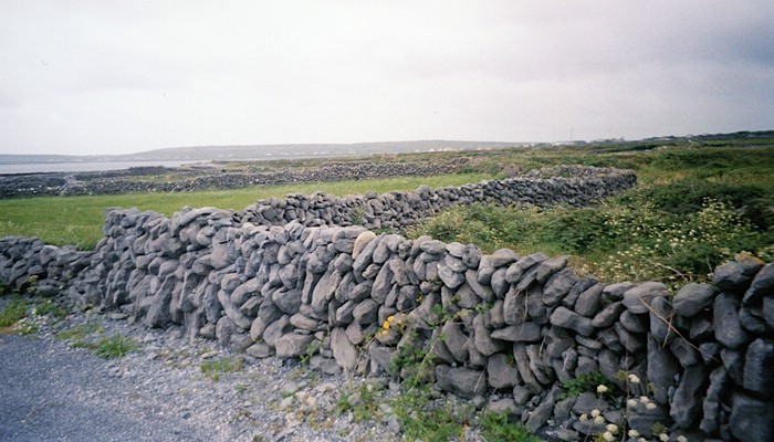 img865.jpg