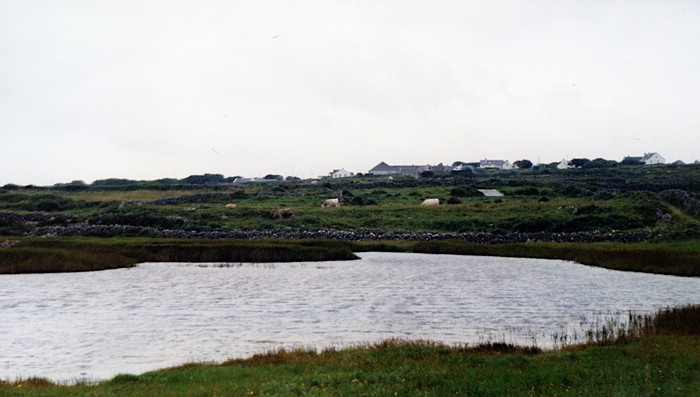 img866.jpg