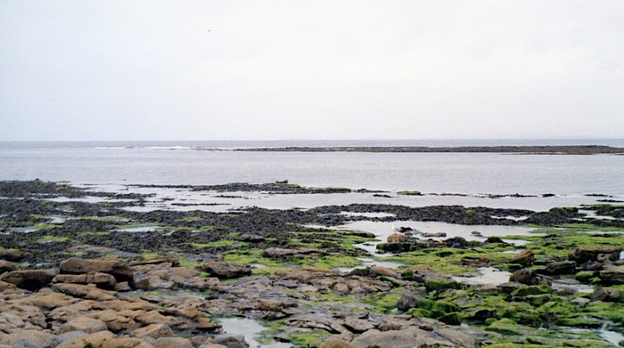 img868.jpg