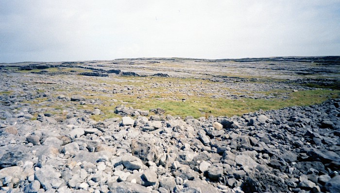 img869.jpg