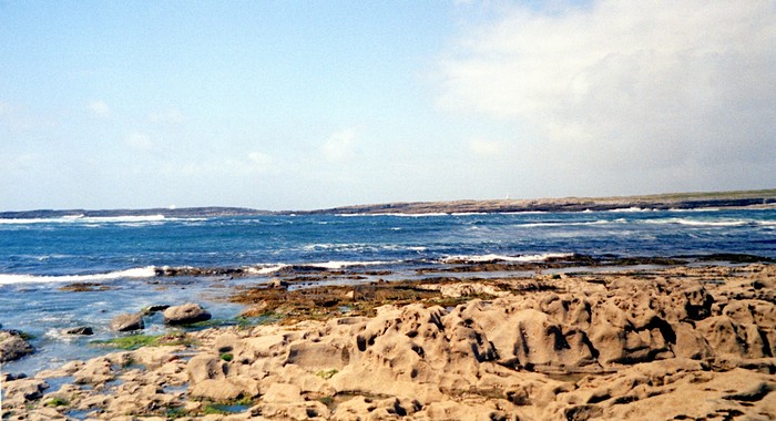 img870.jpg