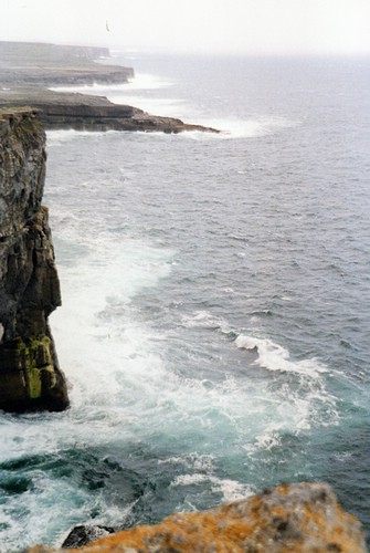 img872.jpg