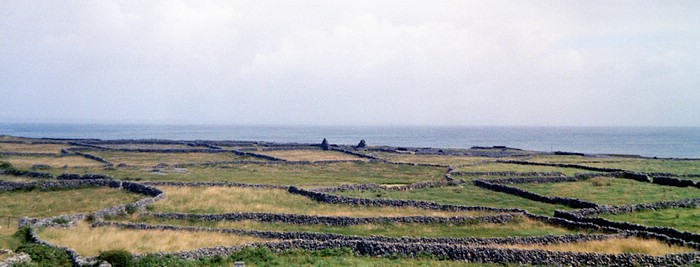 img874.jpg
