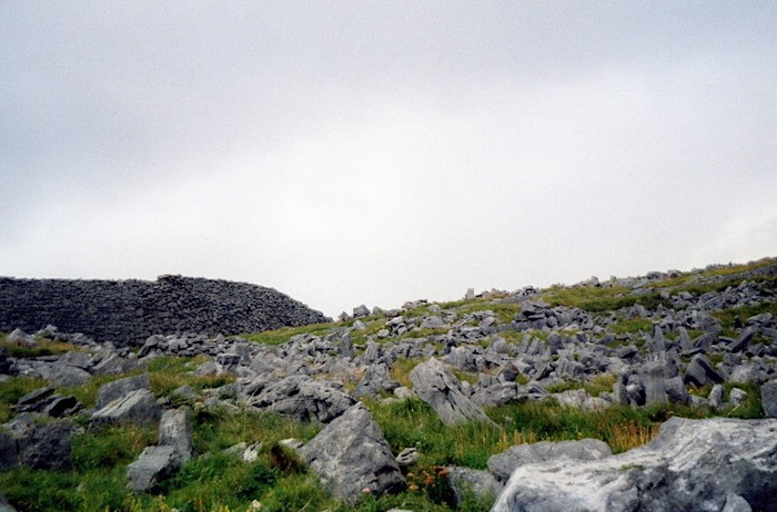 img875.jpg