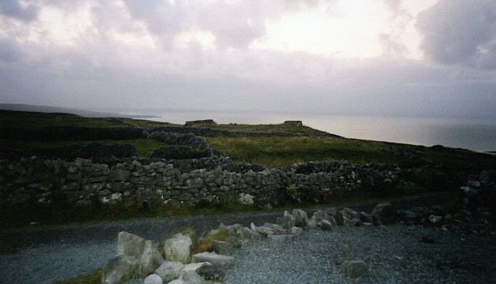 img876.jpg