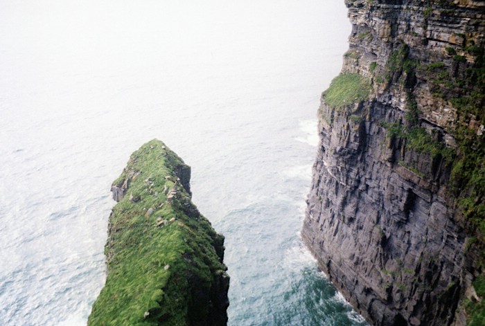 img877.jpg