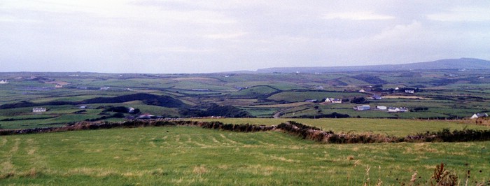img883.jpg