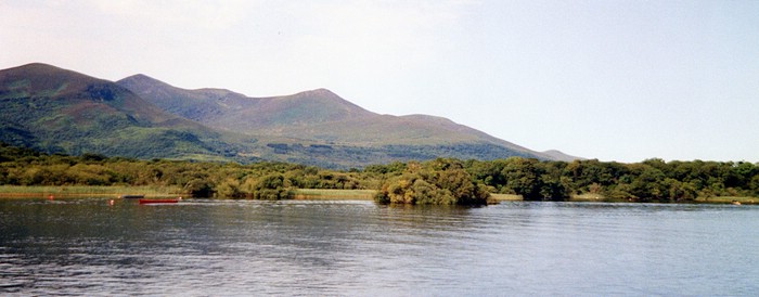 img886.jpg