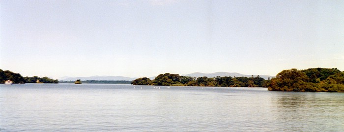img887.jpg