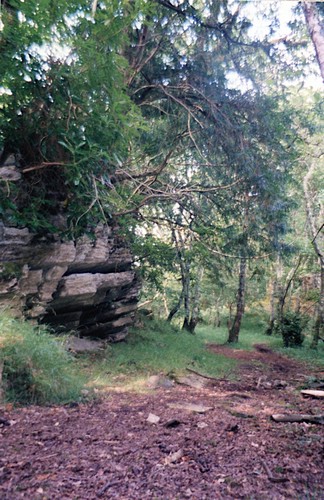 img888.jpg
