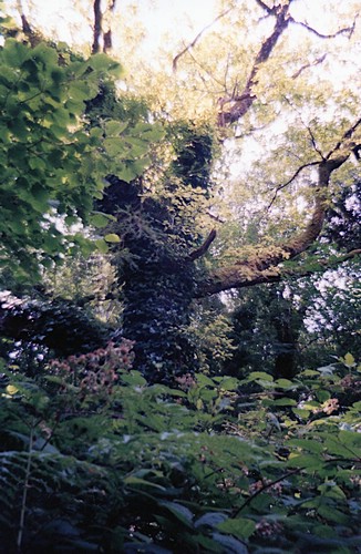 img890.jpg