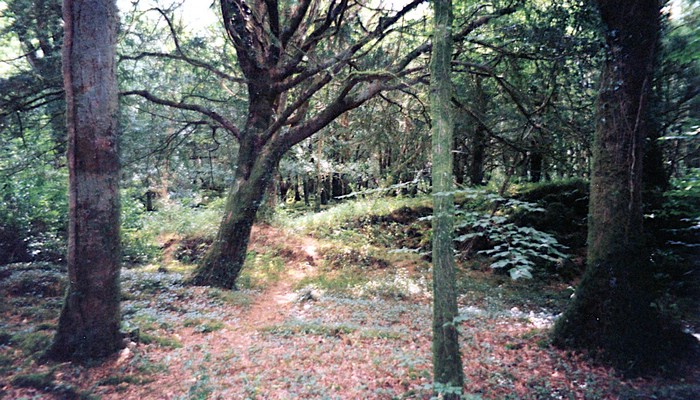 img891.jpg