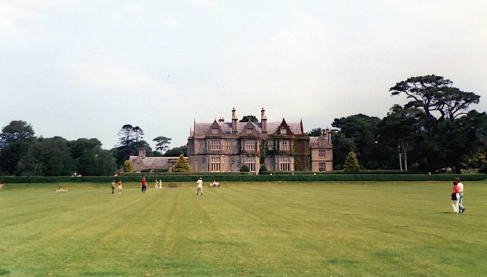 img893.jpg