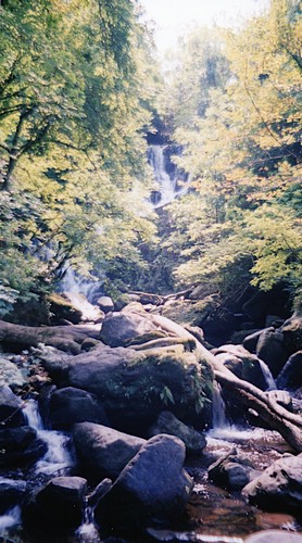 img894.jpg