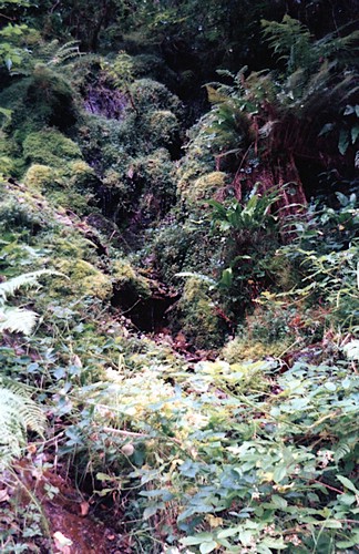 img895.jpg