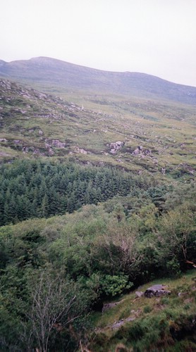 img896.jpg