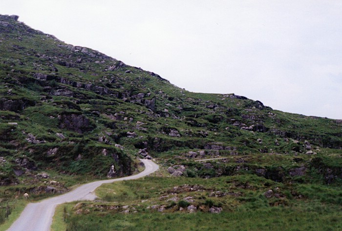 img898.jpg