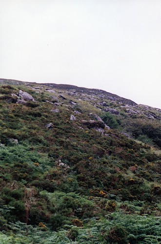 img899.jpg