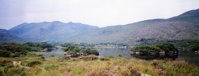 img900.jpg