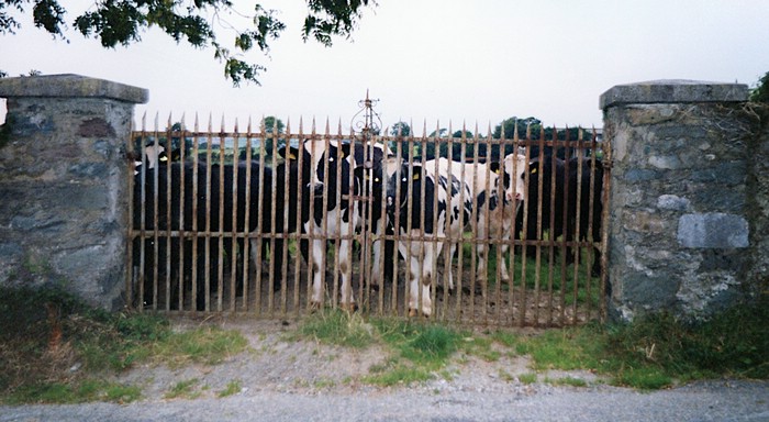 img902.jpg