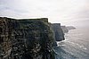 img879.jpg