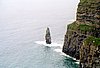 img882.jpg