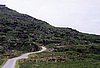 img898.jpg