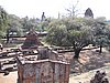 103_0316.JPG