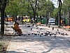 103_0334.JPG