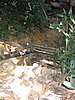 104_0424.JPG
