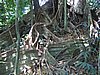 104_0426.JPG