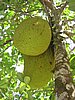 104_0429.JPG
