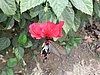 104_0430.JPG