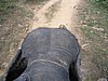 104_0431.JPG